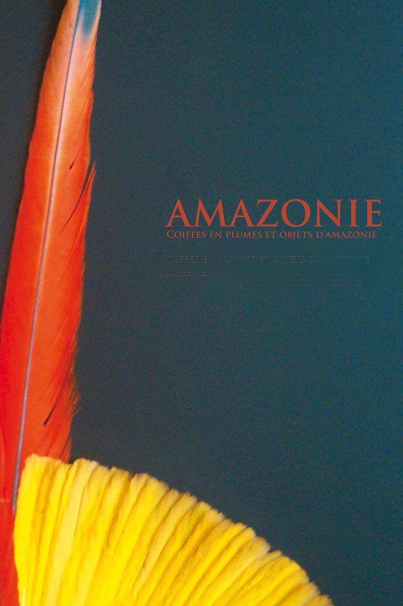Exposition AMAZONIE - Galerie Punchinello Exposition AMAZONIE - Galerie Punchinello