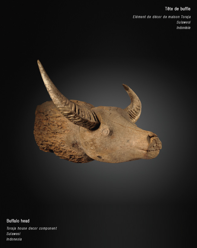 Tête de buffle, élément de décor de maison Toraja, Sulawesi, Indonésie Tête de buffle, élément de décor de maison Toraja, Sulawesi, Indonésie