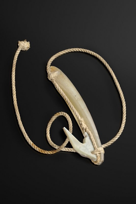[[Hameçon - Polynésie|Fish hook - Polynesia]]